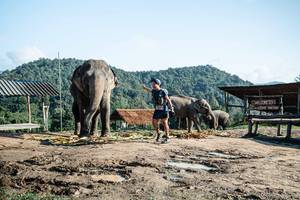 BIB: 
                            <button type="button" onclick="openModal(22423607)" class="btn btn-primary btn-sm float-right btn-popup" data-toggle="modal" data-target=".modal-high-quality">
                        <i class="fas fa-shopping-cart"></i> Add to Cart
                    </button>
                                            <button type="button" onclick="isThisMe(22423607, true)" class="btn btn-success btn-sm float-right btn-popup btn-isme hidden" data-toggle="tooltip" data-placement="bottom" title="นี่คือรูปของคุณใช่ไหม คลิกที่นี่เพื่อเอาเข้าอัลบั้ม">
                        <i class="fas fa-plus"></i> Add to album
                    </button>
                    <button type="button" onclick="isThisMe(22423607, false)" class="btn btn-warning btn-sm float-right btn-popup btn-isnotme hidden">
                        <i class="fas fa-ban"></i> Remove from album
                    </button>